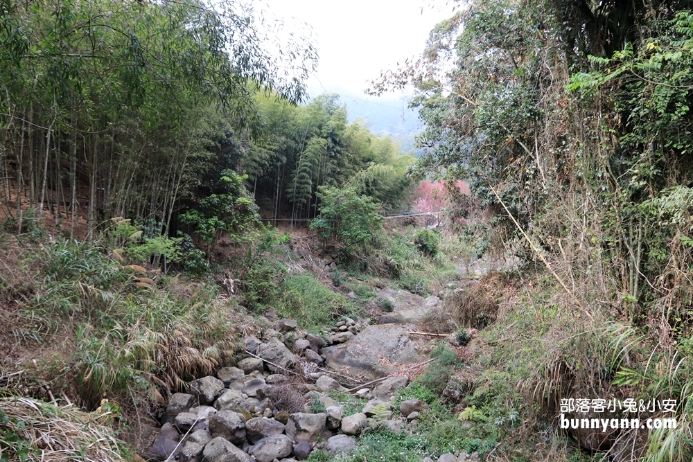 雲林草嶺私房》連心池瀑布，石壁仙谷壯麗河谷風貌旅遊指南