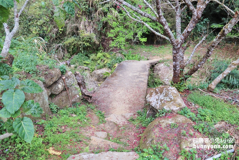 雲林草嶺私房》連心池瀑布，石壁仙谷壯麗河谷風貌旅遊指南