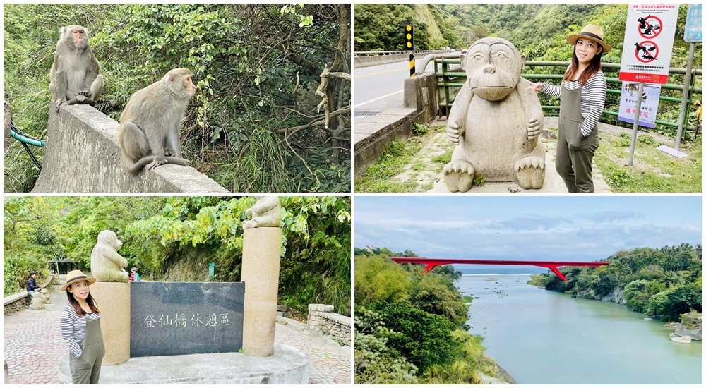 台東》泰源幽谷登仙橋，近距離觀察猴子軍團生活 @小兔小安*旅遊札記