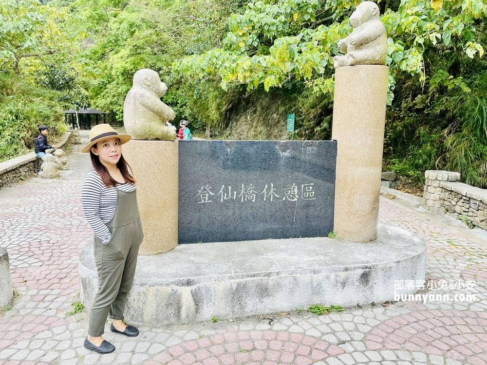 台東》猴子東遊記！泰源幽谷登仙橋，近距離觀察猴子軍團生活，我家也有隻小猴子