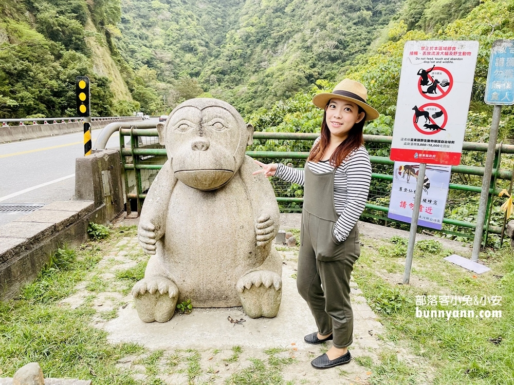 台東》泰源幽谷登仙橋，近距離觀察猴子軍團生活