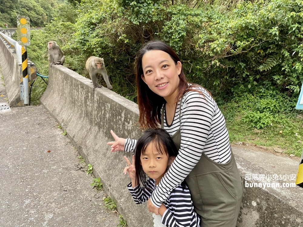 台東》泰源幽谷登仙橋，近距離觀察猴子軍團生活