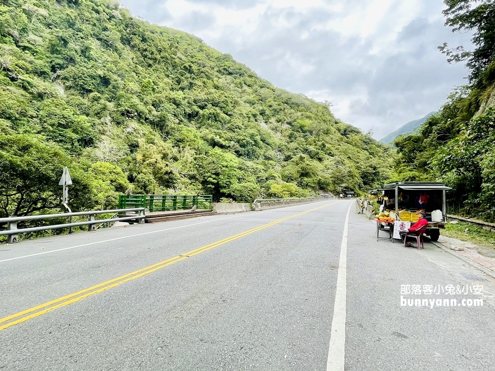 台東》泰源幽谷登仙橋，近距離觀察猴子軍團生活