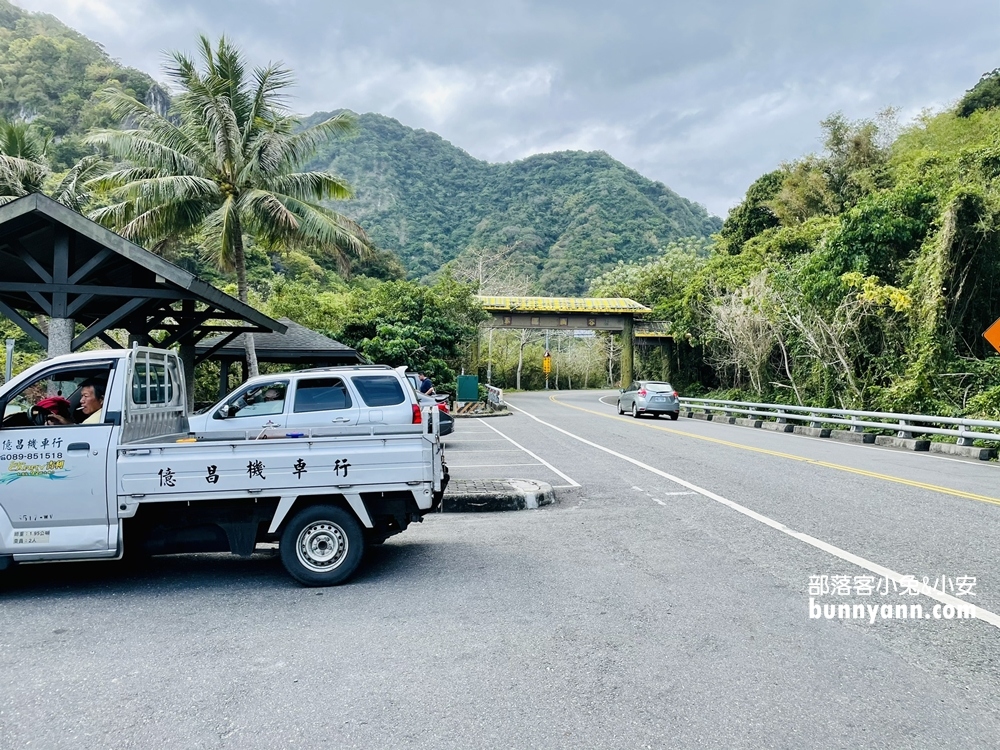 台東》泰源幽谷登仙橋，近距離觀察猴子軍團生活