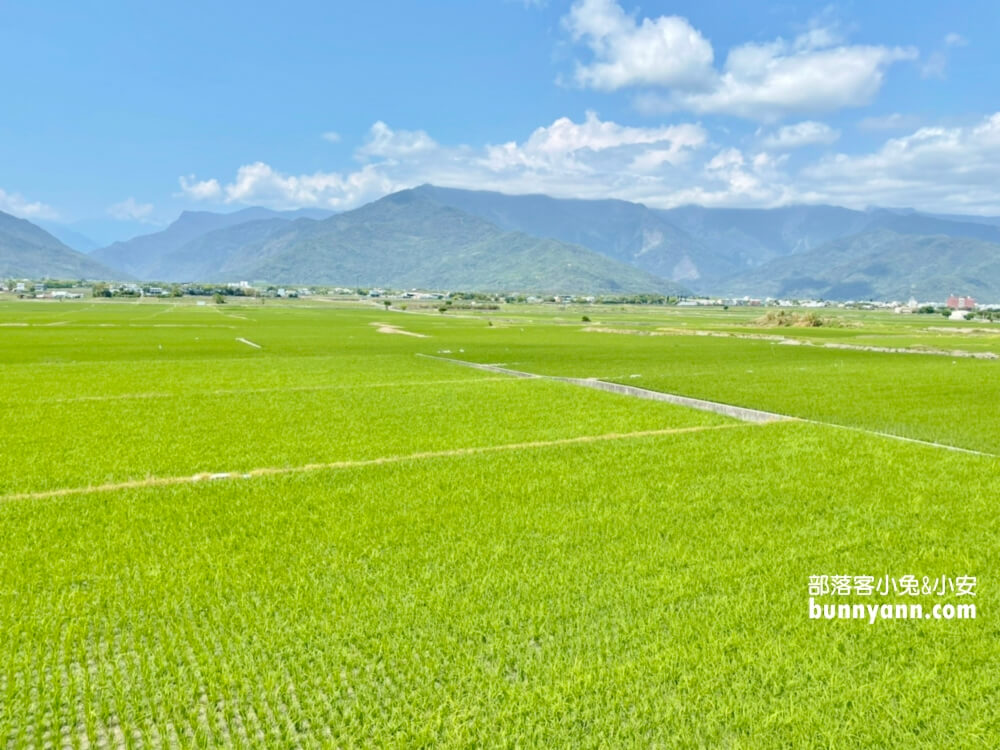 台東景點|錦園洗衣亭好美|最佳玩水田邊俱樂部|綠油油稻田好舒心