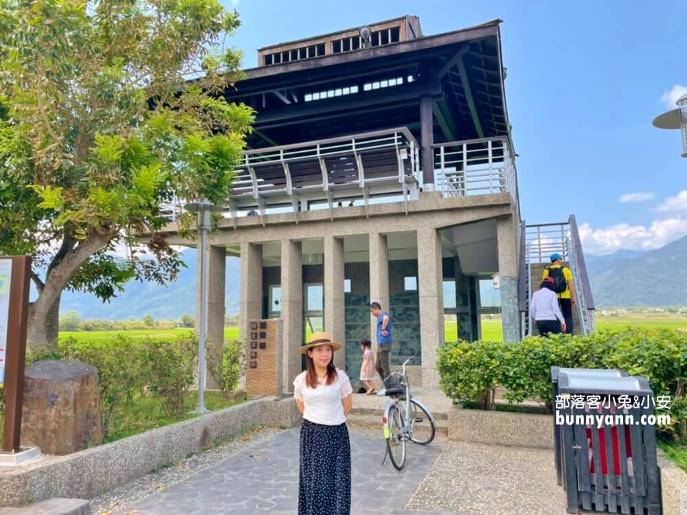 台東景點|錦園洗衣亭好美|最佳玩水田邊俱樂部|綠油油稻田好舒心