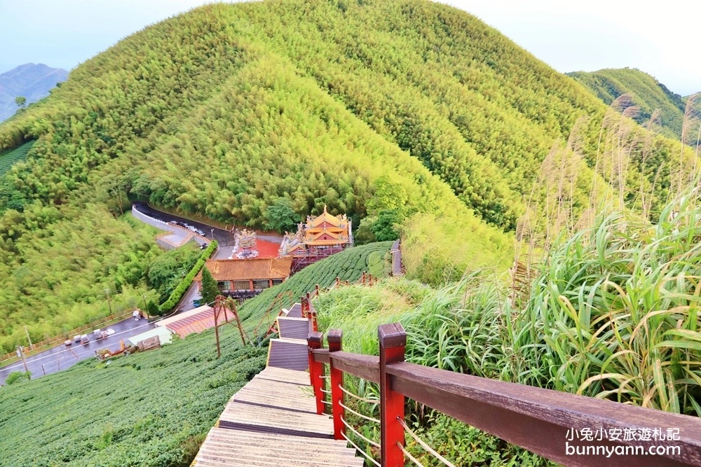 嘉義親民版抹茶山「二尖山步道」十分鐘輕鬆賞山嵐美景，茶園風光好美麗