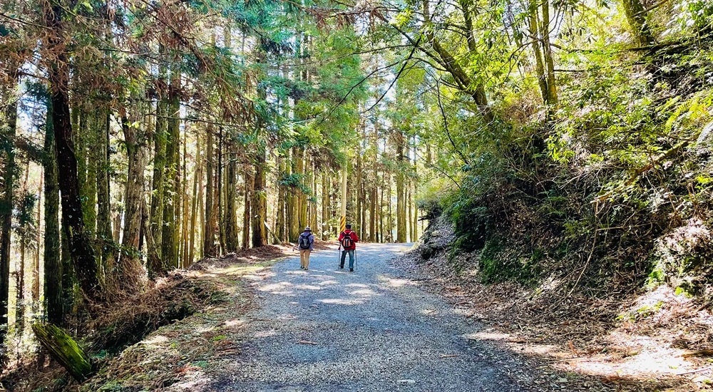 網站近期文章：【苗栗觀霧山莊】暢遊海拔2000公尺蜜月小徑森林步道