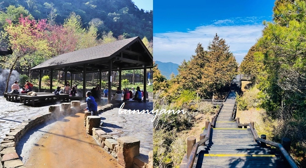 新竹五峰鄉景點推薦，觀霧賞雲海一日遊這樣玩