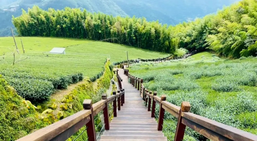 石棹步道群霞之道