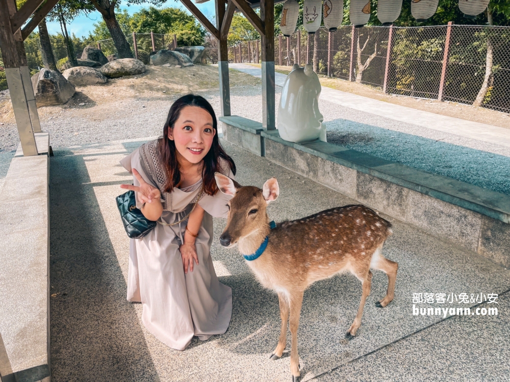 全台最大日式莊園！綠舞國際觀光飯店，餵水豚君、划船餵魚，穿上美美浴衣來渡假