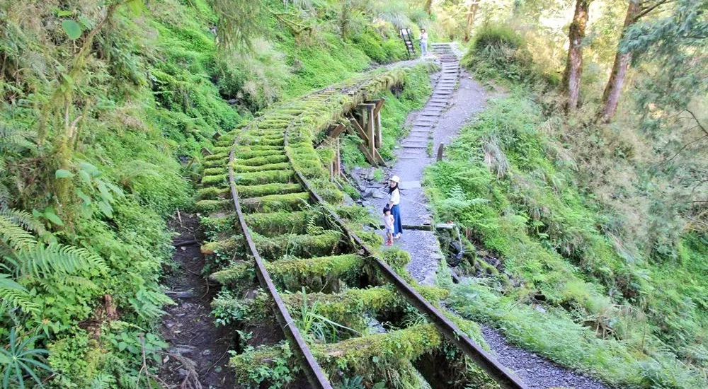 宜蘭全球最美小路見晴懷古步道，絕美綠之森林鐵道 @小兔小安*旅遊札記