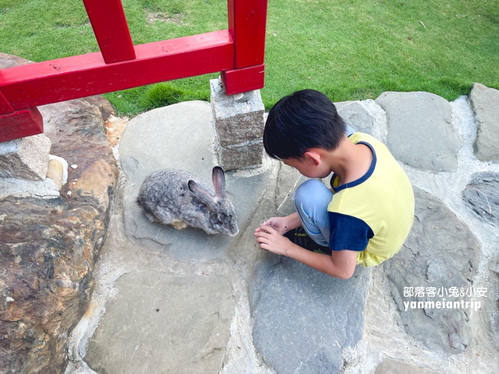 【澄霖沉香味道森林館】收費參觀，水之教堂和落羽松步道超美