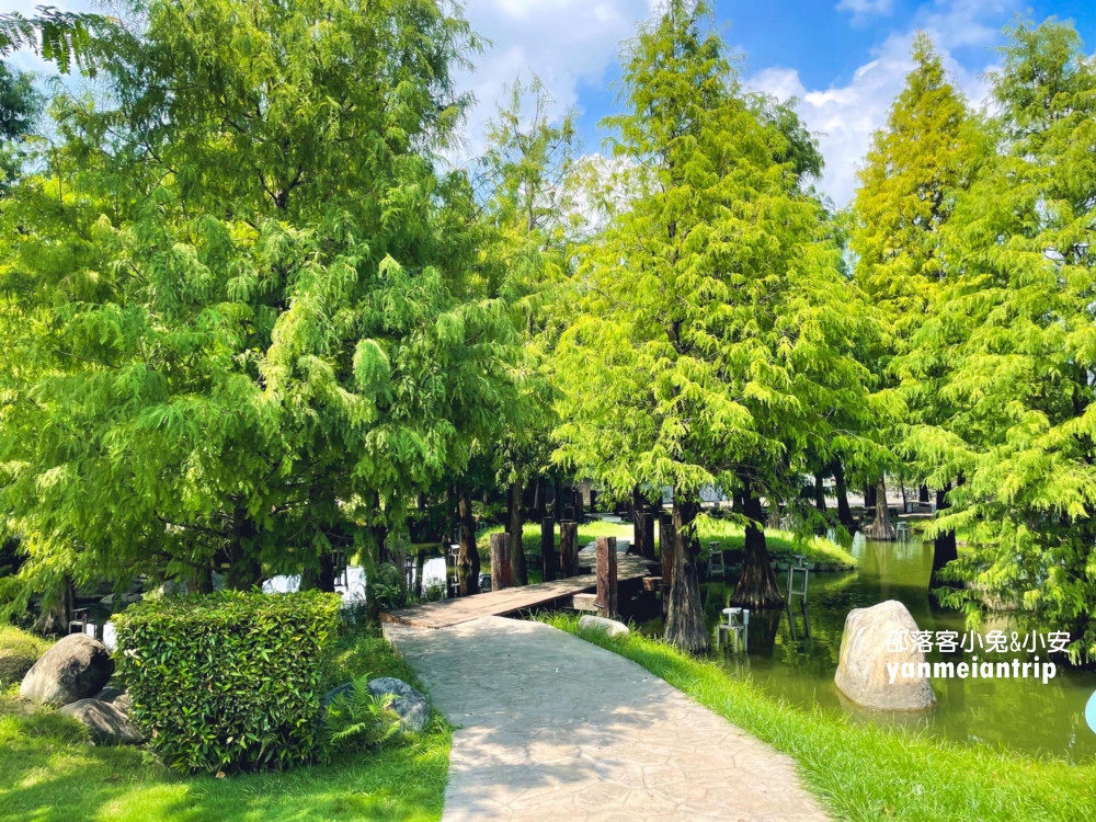 【澄霖沉香味道森林館】收費參觀，水之教堂和落羽松步道超美