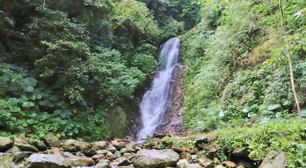 花蓮瀑布森林浴，撒固兒步道入門級森林步道，十分鐘輕鬆賞飛瀑 @小兔小安*旅遊札記