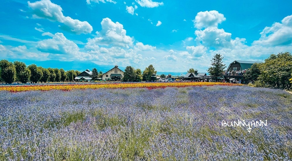 【北海道景點】北海道富田農場 夏天最佳賞花地點，哈密瓜好好吃 @小兔小安*旅遊札記