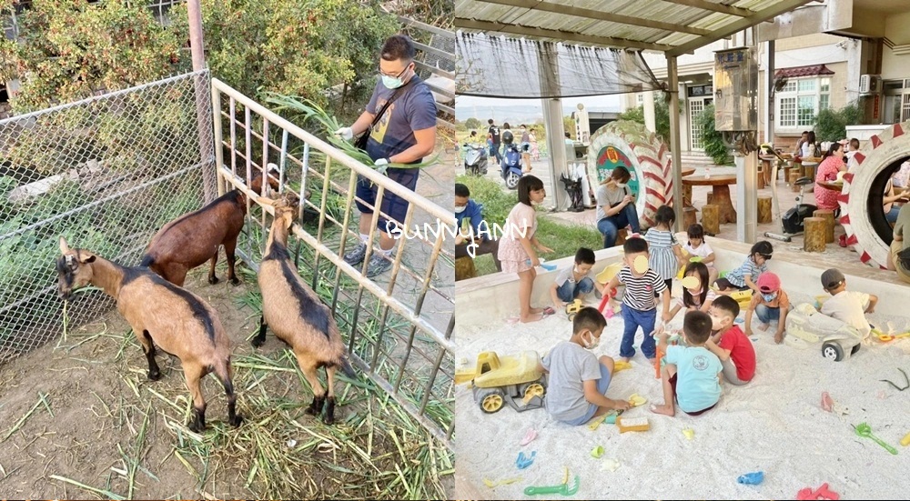 高雄禾光牧場｜免門票羊牧場，自己割牧草餵羊，暢玩親子沙坑 @小兔小安*旅遊札記