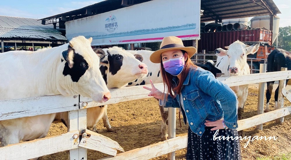 彰化銀行山禾家牧場，吃鮮奶霜淇淋看荷蘭牛曬太陽 @小兔小安*旅遊札記