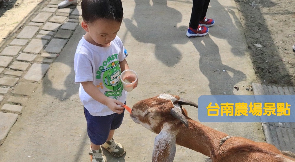 2024【台南農場景點】10間必訪戶外農場，親子與動物互動體驗去 @小兔小安*旅遊札記