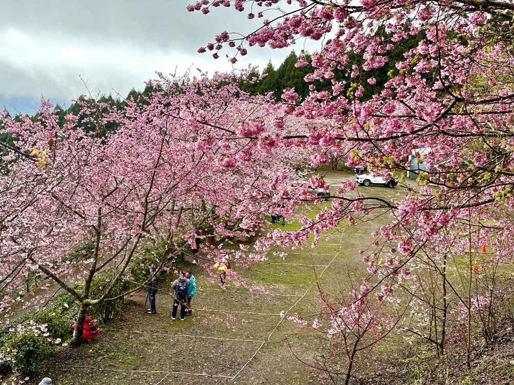 新竹戶外景點》山上人家森林農場，門票費用與一日遊這樣玩