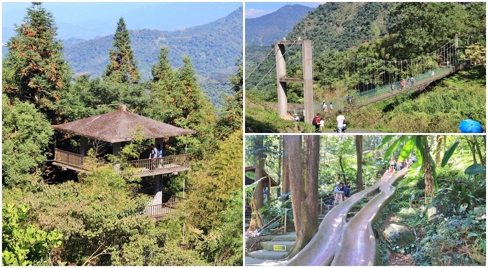 南投鳳凰谷鳥園生態園區，停留時間、門票優惠、環境一次攻略。