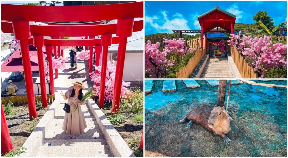 花蓮【月崖灣親子農場】一邊看海一邊餵水豚吃飯真好玩 @小兔小安*旅遊札記