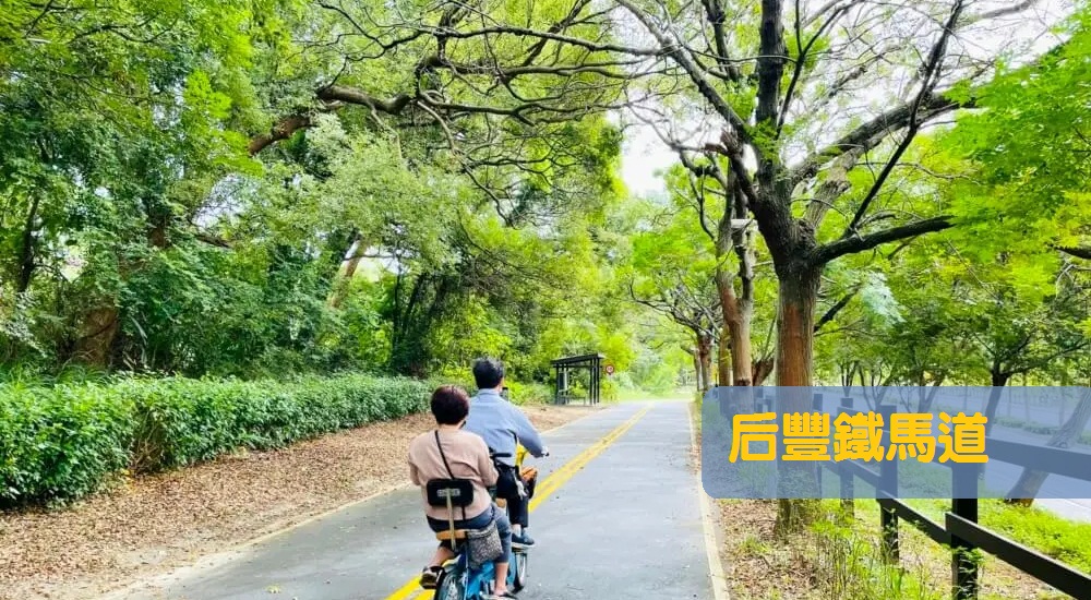 網站近期文章：台中后豐鐵馬道一日遊，暢遊東豐自行車綠廊，附近景點推薦