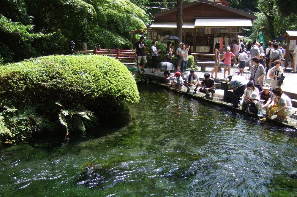 熊本景點｜白川水源