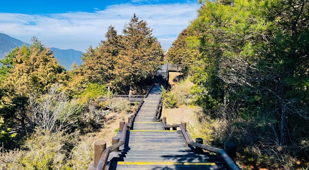 2024【觀霧國家森林遊樂區】一日遊觀霧步道觀光指南 @小兔小安*旅遊札記