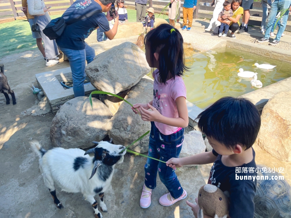 新竹農場推薦》廢物媽媽育兒農場，開在海邊的親子農場，人潮好多喔。