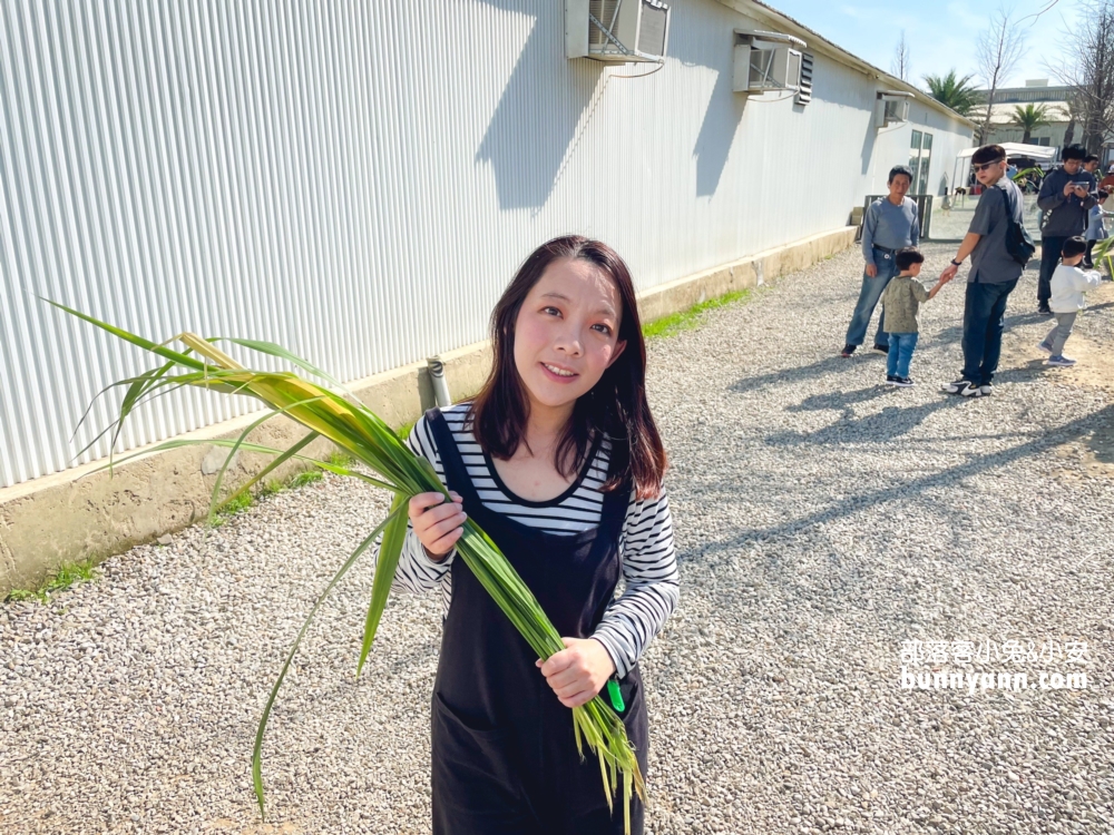 新竹農場推薦》廢物媽媽育兒農場，開在海邊的親子農場，人潮好多喔。