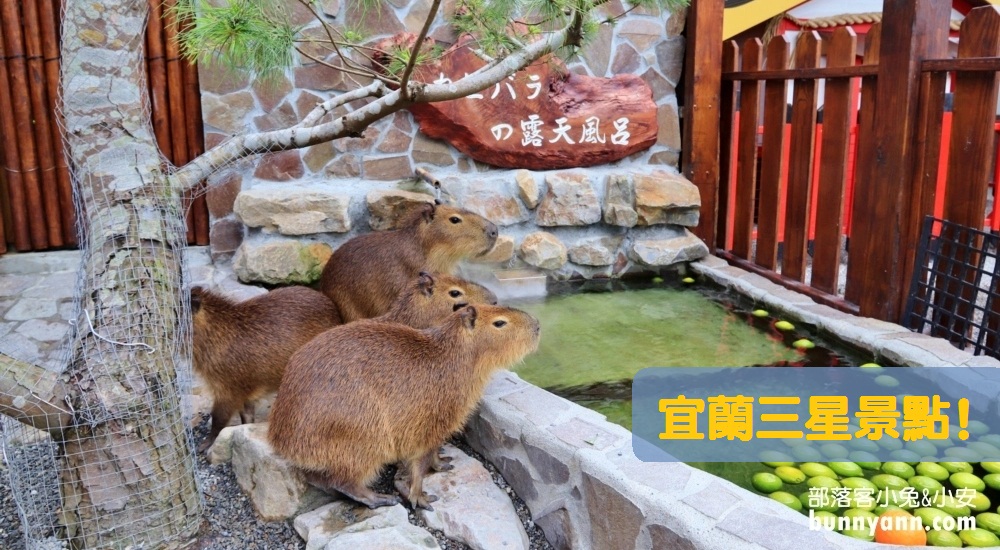 宜蘭【三星景點】推薦這樣玩三星鄉一日遊，親子、情侶景點全攻略 @小兔小安*旅遊札記