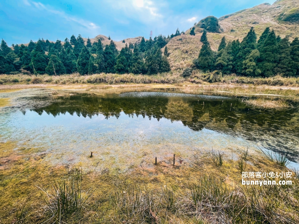 陽明山景點》夢幻湖步道，國家級生態濕地，停車與環境介紹。