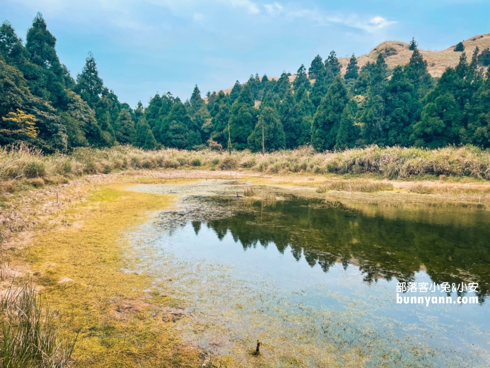 陽明山景點》夢幻湖步道，國家級生態濕地，停車與環境介紹。