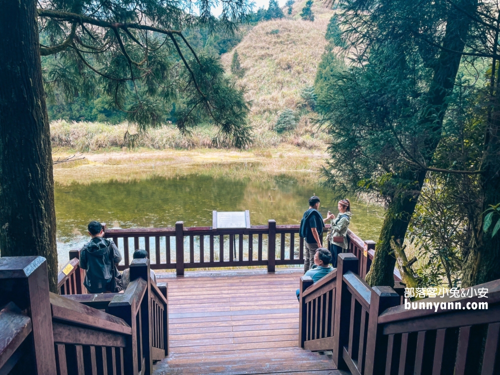 陽明山景點》夢幻湖步道，國家級生態濕地，停車與環境介紹。