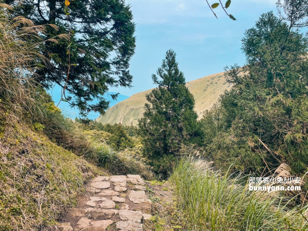 陽明山景點》夢幻湖步道，國家級生態濕地，停車與環境介紹。