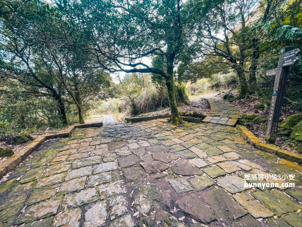 陽明山景點》夢幻湖步道，國家級生態濕地，停車與環境介紹。