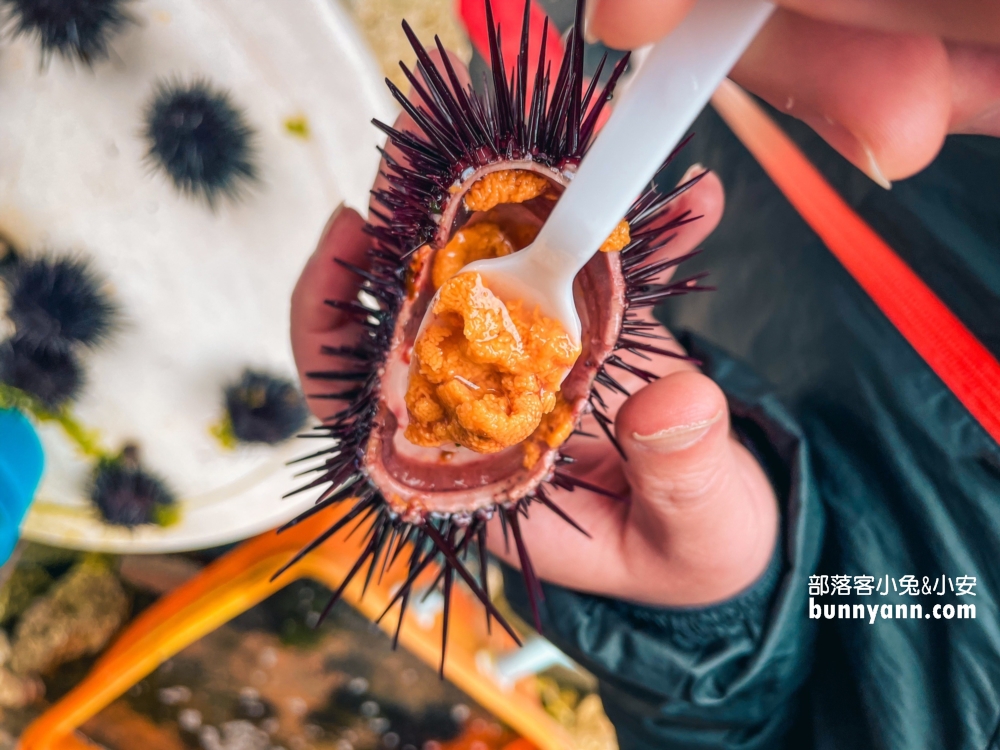 龜吼漁港美食「馬糞海膽現剖」吃一次回憶就好。