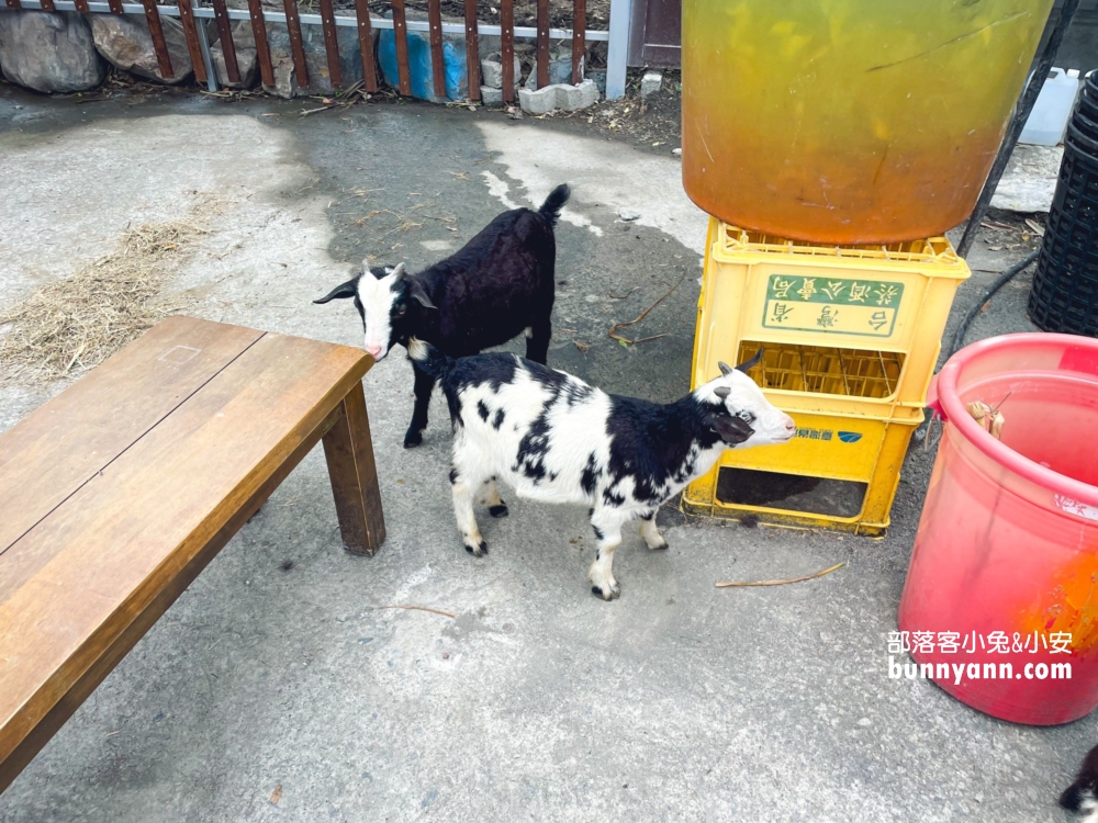 宜蘭礁溪【皇家花園餐廳】交流道入口處的平價烤雞餐廳