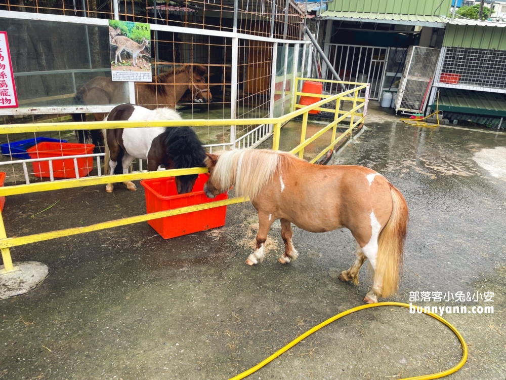 宜蘭礁溪【皇家花園餐廳】交流道入口處的平價烤雞餐廳