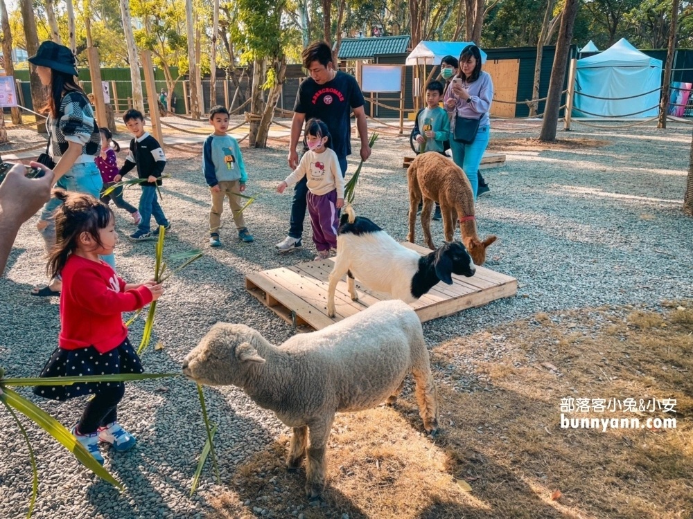 嘉義農場【咩咩上樹萌寵樂園】兩分鐘看完環境與門票資訊總整理