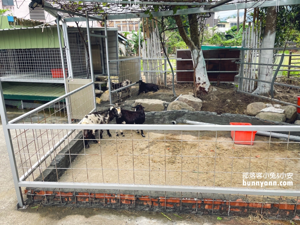 皇家花園餐廳｜網路評價破萬則連離峰時段也是一堆人的礁溪烤雞餐廳