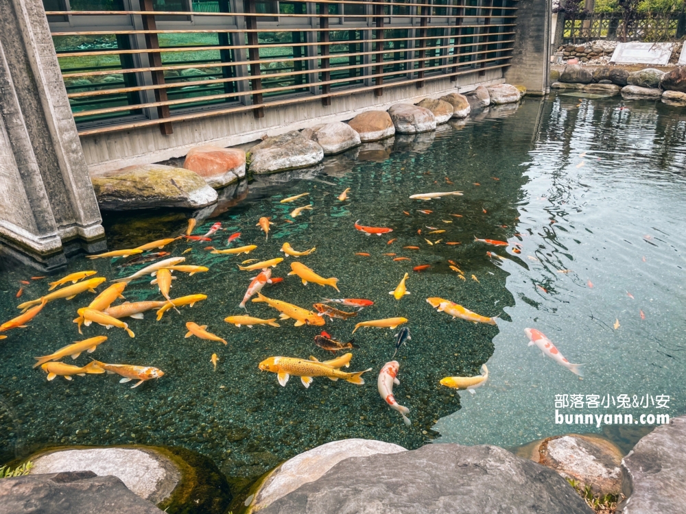 宜蘭甲鳥園暢遊鴨子樂園，環境設施、現況介紹給你知道。