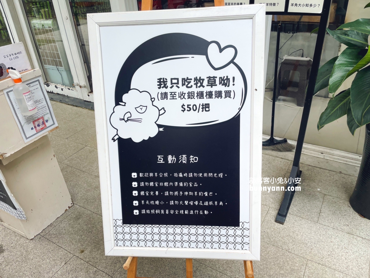 【黑RURU CAFE】幫你做好功課找到宜蘭餵羊咖啡店，笑笑羊陪你喝下午茶