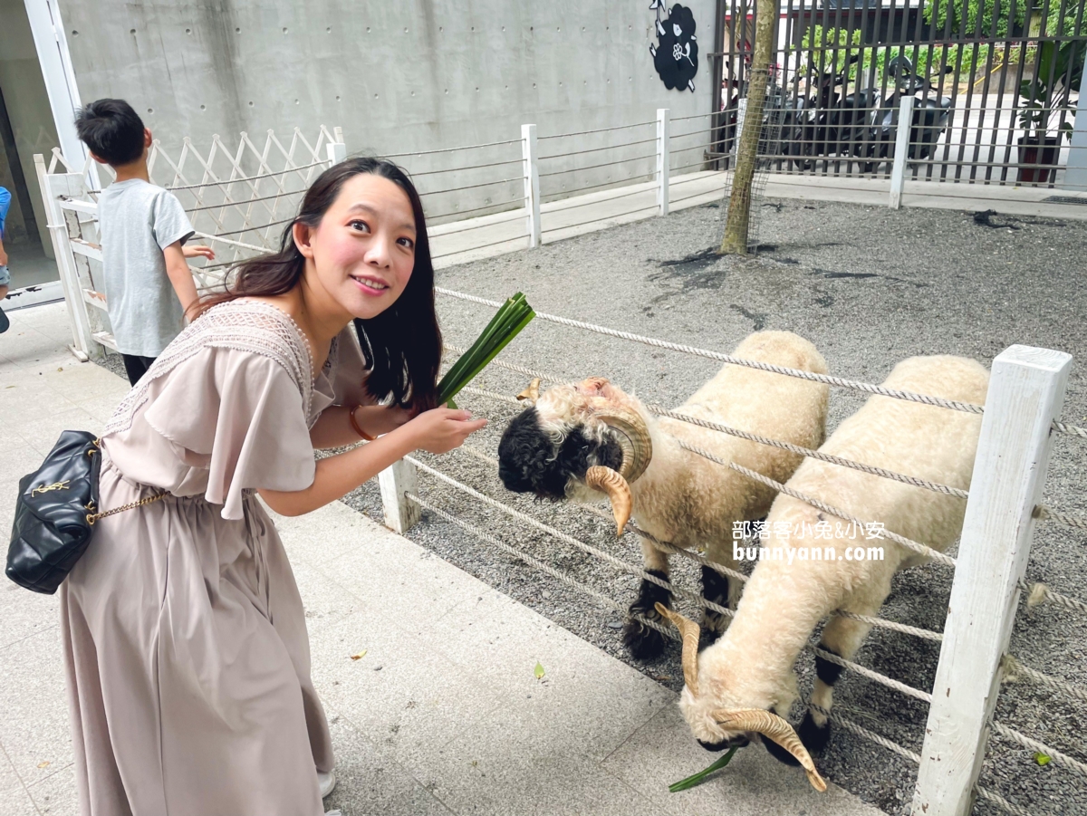 【黑RURU CAFE】幫你做好功課找到宜蘭餵羊咖啡店，笑笑羊陪你喝下午茶