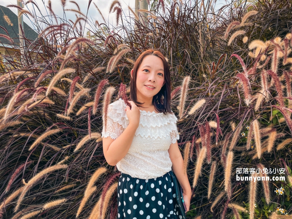 銅鑼秘境推薦！紫鳶山城竹林海餐廳，神隱少女茶屋，漫步苗栗版小抹茶山