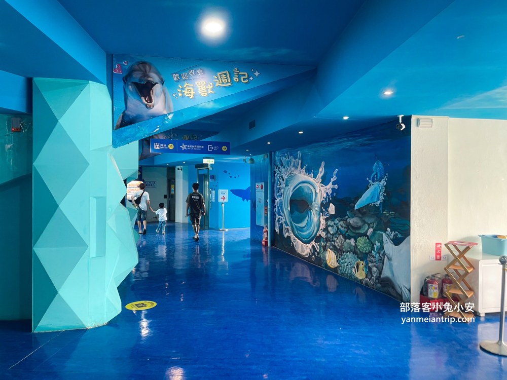野柳海洋世界｜親子必訪新北景點！海豚互動、海洋展一次玩透透