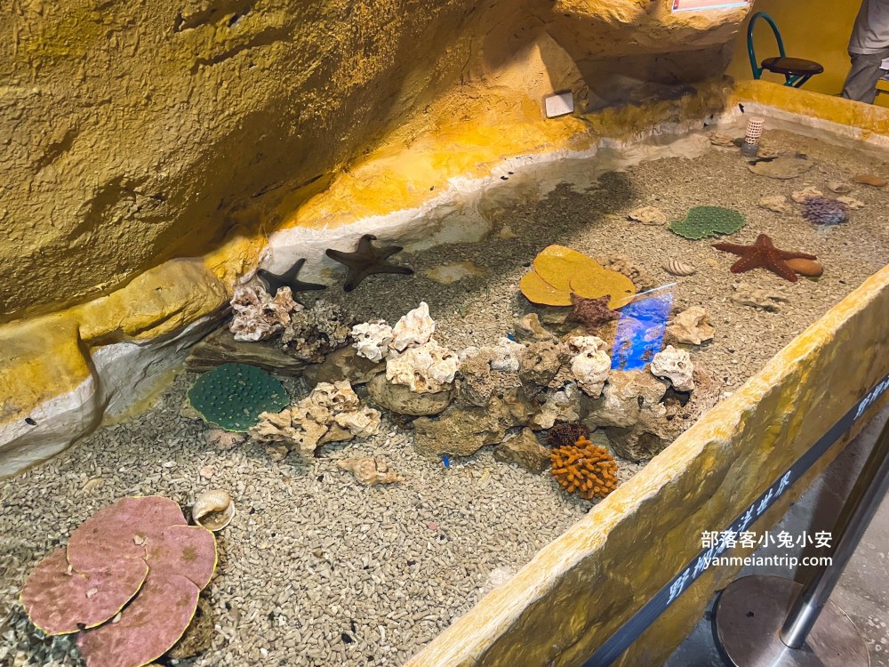 野柳海洋世界｜親子必訪新北景點！海豚互動、海洋展一次玩透透