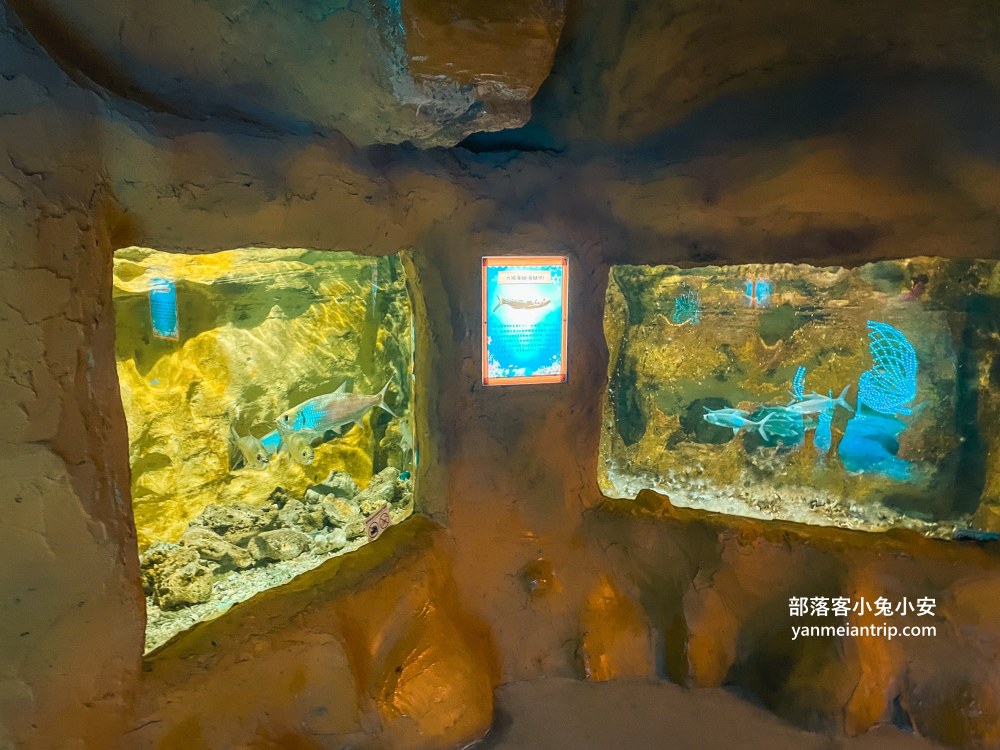 野柳海洋世界｜親子必訪新北景點！海豚互動、海洋展一次玩透透