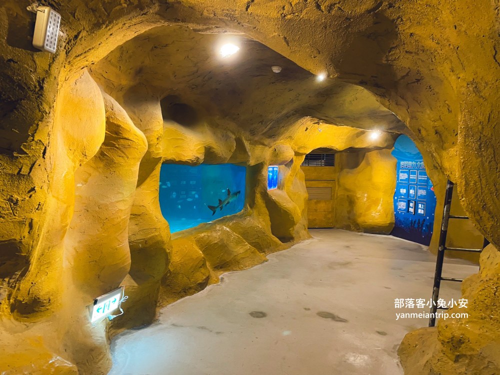 野柳海洋世界｜親子必訪新北景點！海豚互動、海洋展一次玩透透